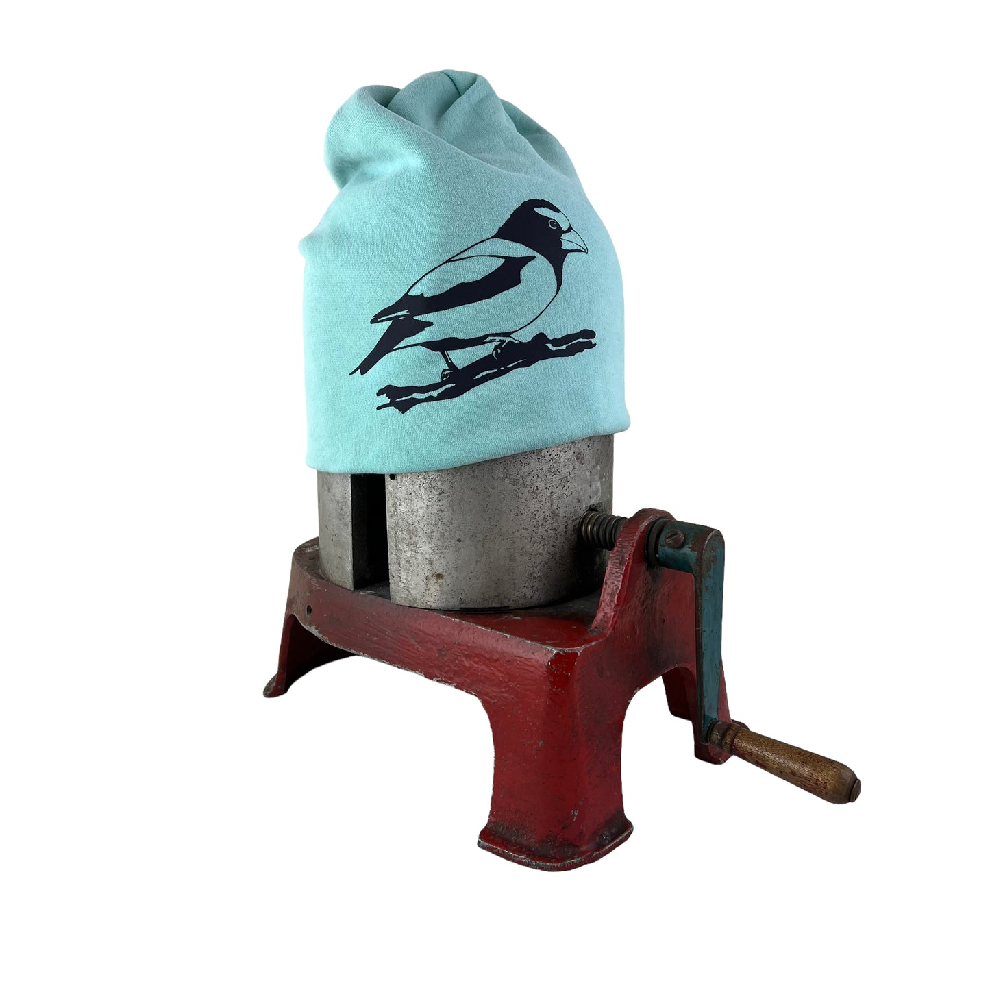 Evening Grosbeak Slouchy Bird Toque Hat Pastel Sea Foam Green