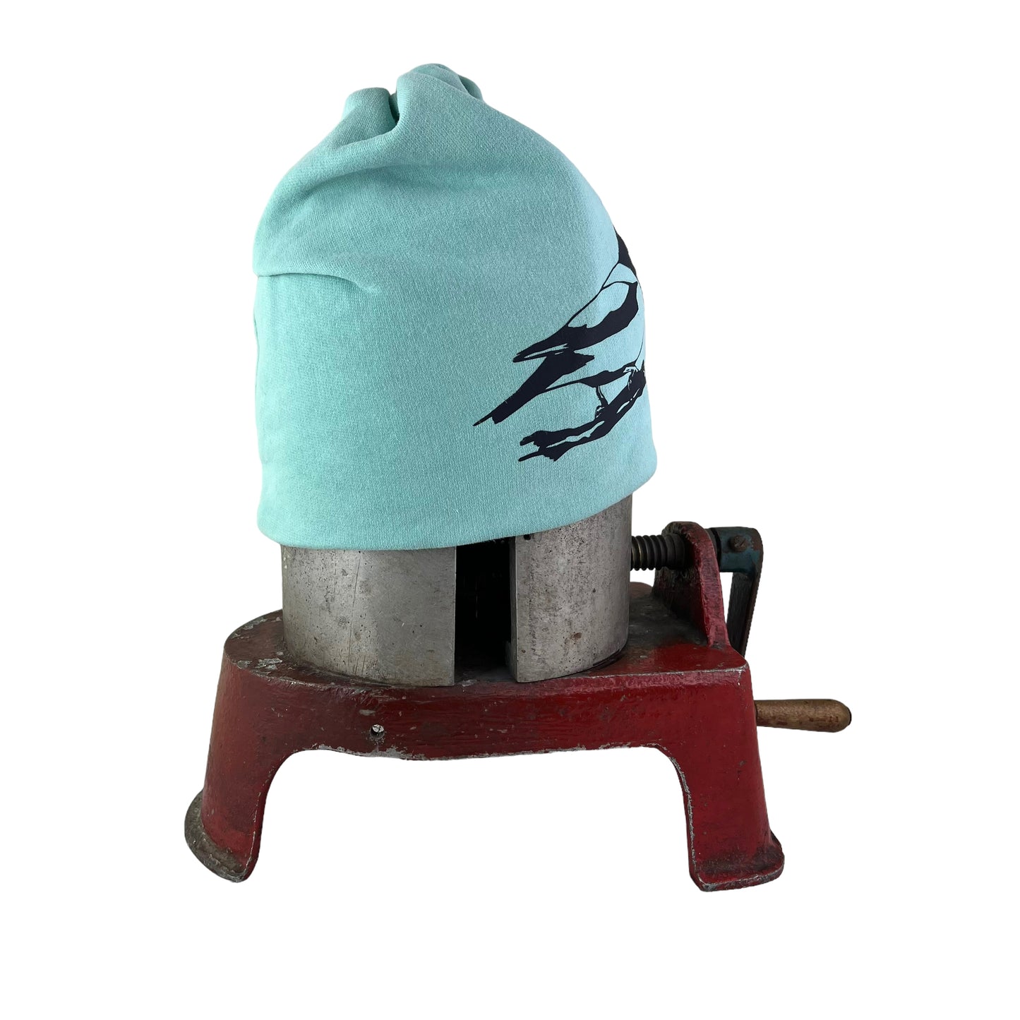 Evening Grosbeak Slouchy Bird Toque Hat Pastel Sea Foam Green