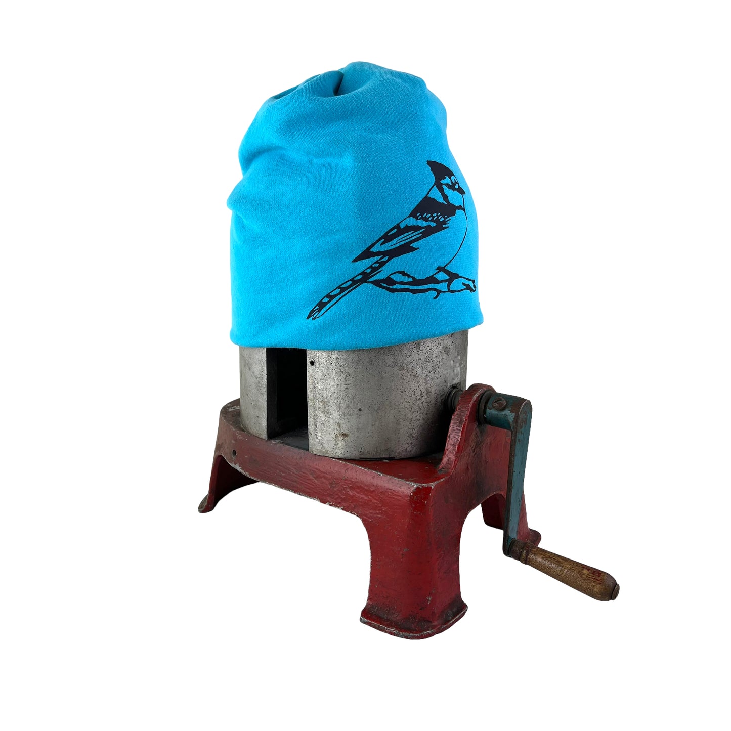 Blue Jay Bird Slouchy Toque Hat Sky Blue