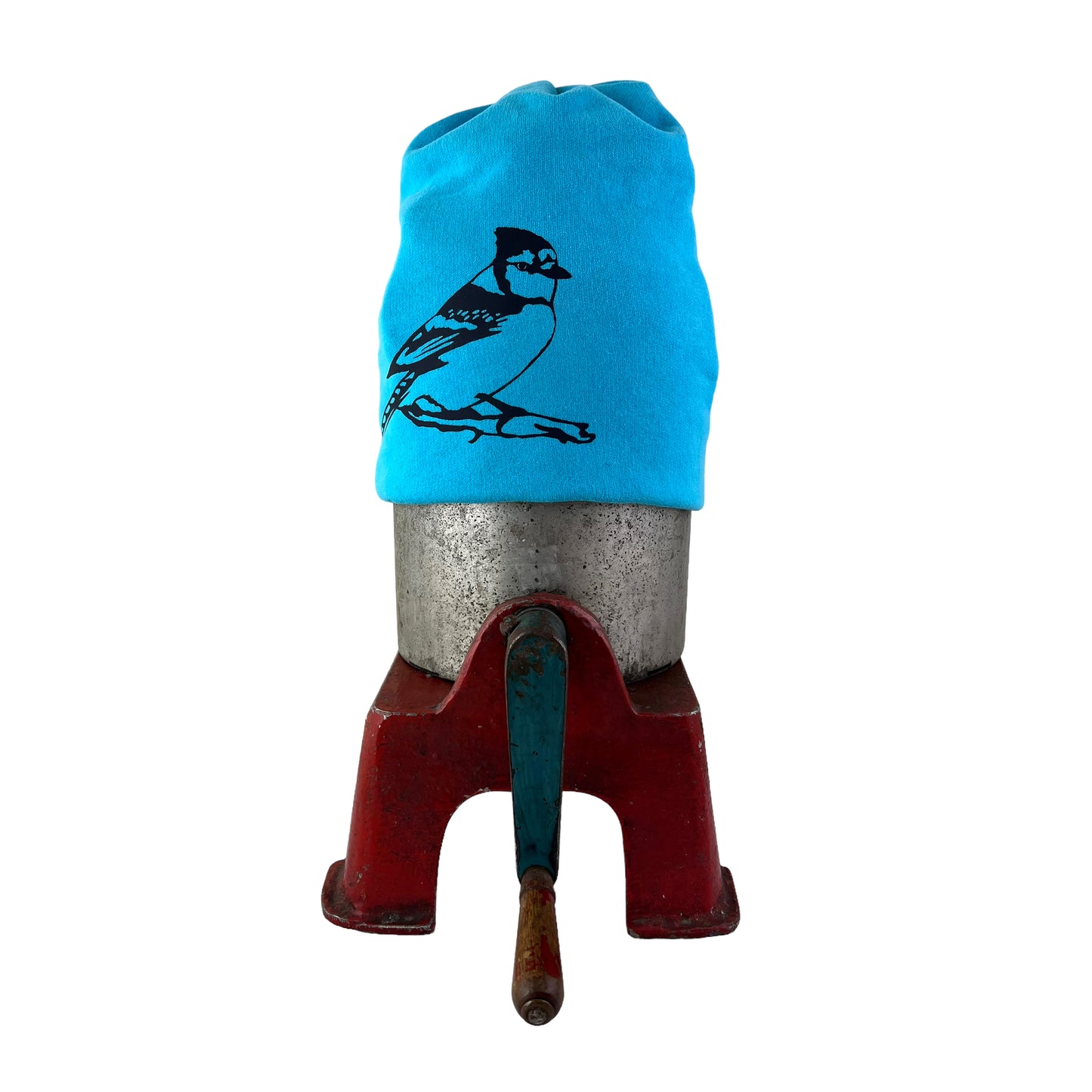 Blue Jay Bird Slouchy Toque Hat Sky Blue