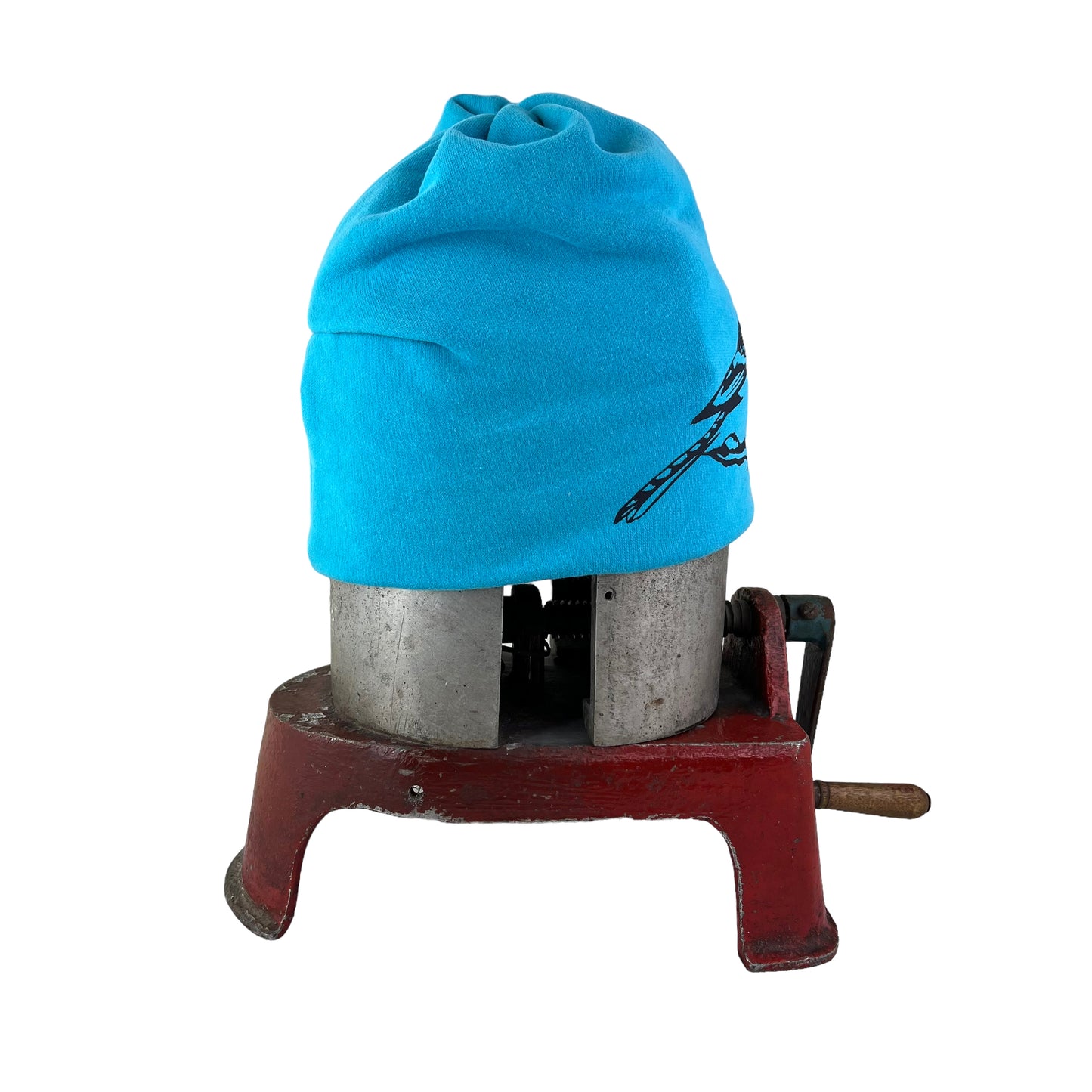 Blue Jay Bird Slouchy Toque Hat Sky Blue